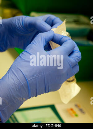 L'infermiera utilizzando blu di guanti di gomma per rimuovere una siringa da imballaggio sterilizzati in un ospedale sala di trattamento Foto Stock