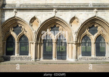 Norwich Cathedral Chiostri Norfolk Inghilterra Foto Stock