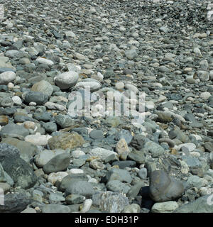 Ciottoli e pietre in un letto asciutto del fiume Foto Stock