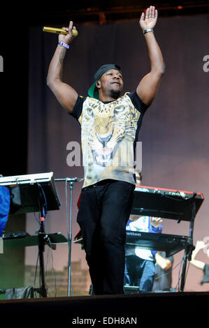 Accesso wireless a un Festival - Day 1 - Prestazioni - rudimentali con: DJ Fabbro,rudimentali dove: Birmingham, Regno Unito quando: 04 Lug 2014 Foto Stock