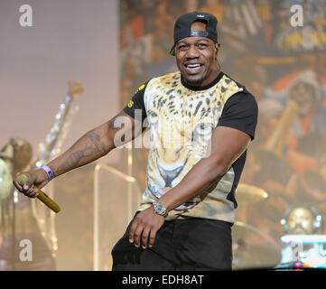 Accesso wireless a un Festival - Day 1 - Prestazioni - rudimentali con: DJ Fabbro,rudimentali dove: Birmingham, Regno Unito quando: 04 Lug 2014 Foto Stock