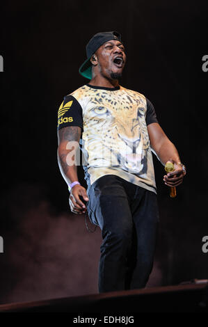 Accesso wireless a un Festival - Day 1 - Prestazioni - rudimentali con: DJ Fabbro,rudimentali dove: Birmingham, Regno Unito quando: 04 Lug 2014 Foto Stock