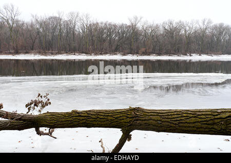 Acque ghiacciate del fiume Mississippi e Albero caduto a crosby farm park in Saint Paul Minnesota Foto Stock