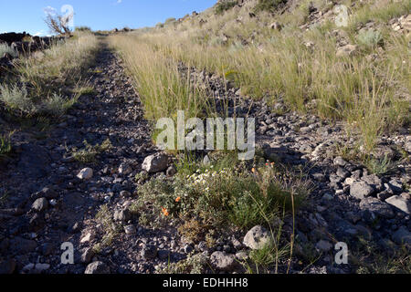 Fondo stradale della La Bajada grado a sud di Santa Fe, New Mexico, che una volta faceva parte della nazionale di vecchi sentieri autostrada. Foto Stock