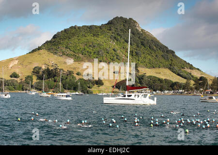 I nuotatori in gara di triathlon a Mount Maunganui, Nuova Zelanda Foto Stock