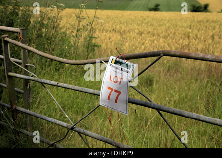 Raccolto di paglia per le aste su Devon Somerset UK Border Foto Stock