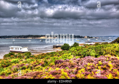 Erica viola con vista a Brownsea Island il porto di Poole Dorset Regno Unito Inghilterra visto dalla costa accanto alle barene ferry Foto Stock