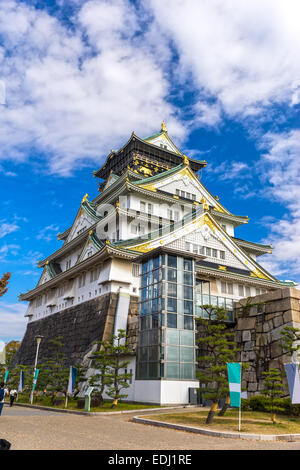 Il Castello di Osaka in Osaka con foglie di autunno. Il Giappone. Foto Stock