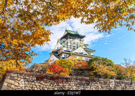 Il Castello di Osaka in Osaka con foglie di autunno. Il Giappone. Foto Stock