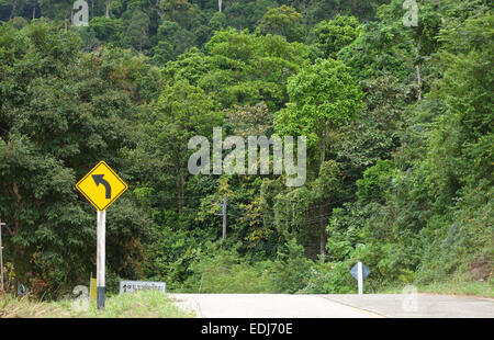 Giriamo a sinistra nella giungla, la foresta pluviale di Koh Lanta, Mu Ko Lanta National Park, Thailandia, Sud-est asiatico. Foto Stock