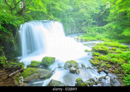 Flusso Oirase, Cyoushiootaki, Aomori, Giappone Foto Stock