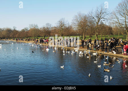 Hyde Park, London, Regno Unito. Scena invernale: la serpentina, uccelli acquatici e visitatori godendo una giornata di sole. Foto Stock