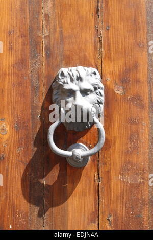 Leone di Bronzo Testa respingente su una porta di legno Foto Stock