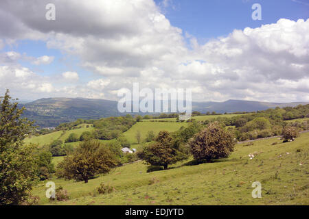 Campagna gallese in Brecon Beacon National Park, metà del Galles, UK. Foto Stock