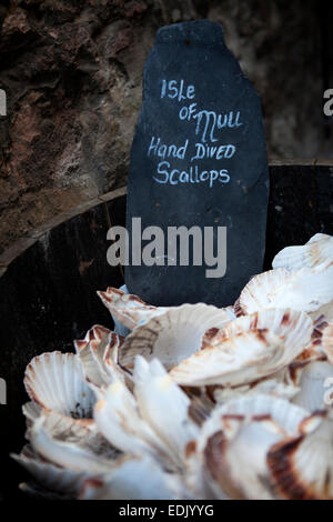 Segno di ardesia Isle of Mull mano buttata capesante per la vendita in un vecchio whiskey canna sul Royal Mile di Edimburgo, in Scozia. Foto Stock