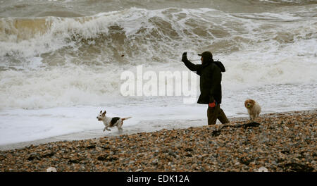 Brighton, Sussex, Regno Unito. Il 7 gennaio, 2015. Un cane ama giocare nel surf come mare mosso pound spiaggia di Brighton oggi con il brutto tempo e alta venti Previsioni per questa settimana Foto Stock