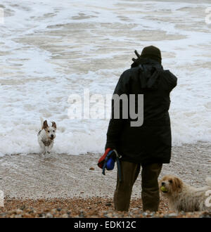 Brighton, Sussex, Regno Unito. Il 7 gennaio, 2015. Un cane ama giocare nel surf come mare mosso pound spiaggia di Brighton oggi con il brutto tempo e alta venti Previsioni per questa settimana . Credito: Simon Dack/Alamy Live News Foto Stock