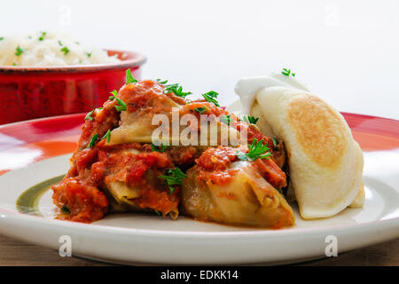 Autentica in casa il polacco involtini di cavolo e perogies Foto Stock