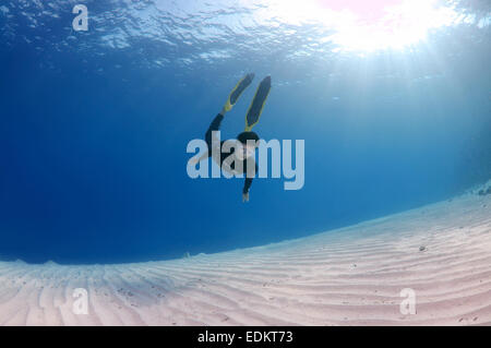 Freediver nuota su un fondo sabbioso, Mar Rosso, Egitto Foto Stock