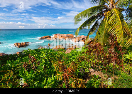 Seychelles, La Digue Foto Stock