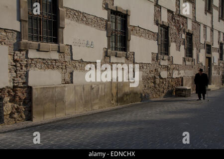 Il Buda Castle Hill dispone di edifici medievali, Budapest, Ungheria, Europa Foto Stock