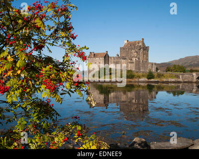 Eilean Donan Castle loch duich con rowan bacche in autunno Foto Stock