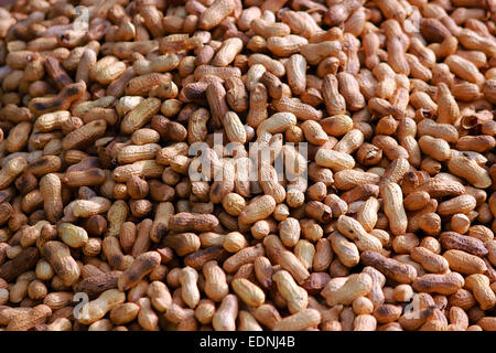 Sfondo, fagiolo, marrone, chiudere, closeup, crack, incrinato, crosta, tagliare, essiccato, mangiare alimenti come frutta, gruppo, metà, sana, ingredien Foto Stock