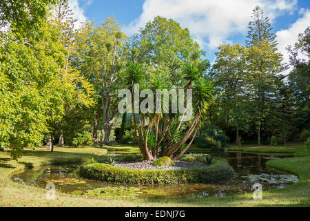 Terra Nostra Park, Furnas, Sao Miguel, Azzorre, Portogallo Foto Stock