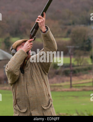 Un uomo con un fucile da caccia fagiano di scatto su un fagiano inglese shoot Foto Stock