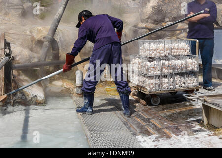 Lavoratore è bollire le uova in acqua minerale a Valle Owakudani ( Valle Vulcanica con zolfo attivo gli sfiati e le sorgenti di acqua calda in Hakon Foto Stock