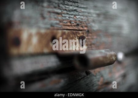 Extreme close-up di una cerniera su una vecchia porta. Foto Stock