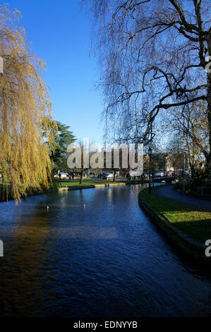 Fiume Windrush che corre attraverso il centro di Bourton-on-the-acqua, Gloucestershire, Inghilterra. Foto Stock