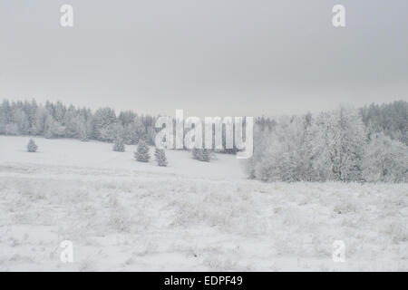 Struttura smerigliato in coperta di neve paesaggio invernale in un freddo giorno di villaggio o cottage. Dicembre, Foto Stock