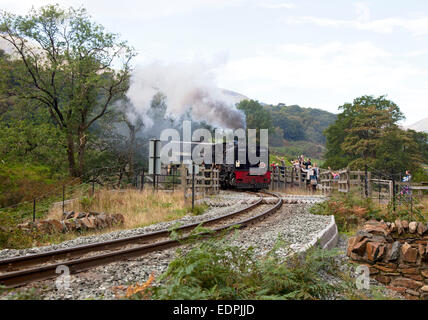 Curiosi di guardare un treno a vapore sul Welsh Highland Railway attraversare il fiume Glaslyn vicino Beddgelert in Snowdonia, Wales, Regno Unito Foto Stock