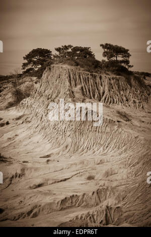 Broken Hill a Torrey Pines State Reserve. San Diego, California. Foto Stock