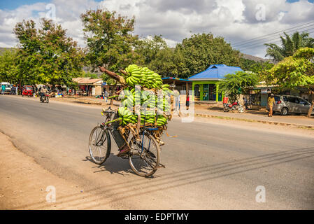L'uomo africano viaggiando su una moto con un mazzetto di banane Foto Stock