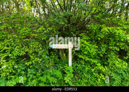 Bridleway pubblica segnaletica per West Luccombe nel Parco Nazionale di Exmoor vicino Allerford, Somerset, Regno Unito Foto Stock