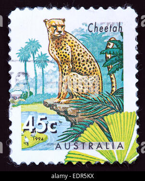 Usato e con timbro postale Australia / Timbro Austrailian 45c 1994 Cheetah Foto Stock