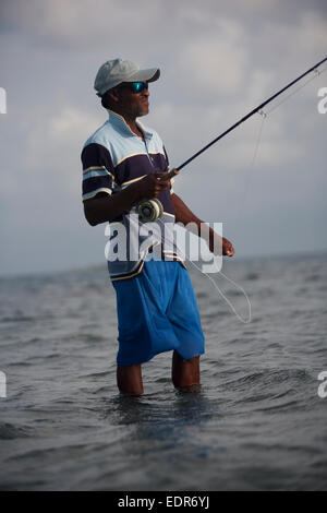 Un pescatore mantiene volare fline mentre guadare in acqua poco profonda Foto Stock