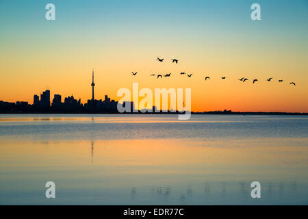 Toronto Skyline di Sunrise Foto Stock