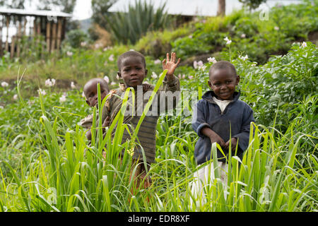 MAYANGE; RUANDA - 13 novembre: bambini non identificato dall'ONU Millenium Village a novembre 13; 2013. Si tratta di un villaggio del rimpatriando Foto Stock