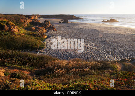 Spiaggia di sabbia e scogliere al tramonto, MacKerricher State Park, Fort Bragg, Mendocino County, California, Stati Uniti d'America Foto Stock