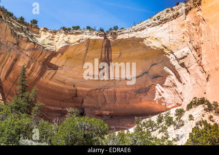 Echo Canyon, Nuovo Messico, STATI UNITI D'AMERICA Foto Stock