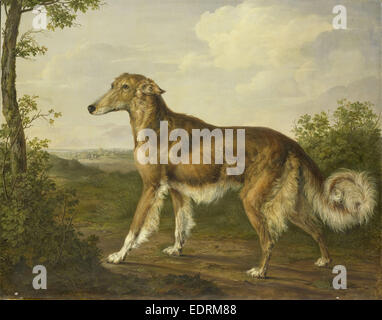 Siberian Greyhound, Jan Dasveldt, c. 1825 Foto Stock