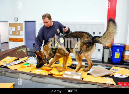 US Customs and Border Protection ufficiali K-9 Unità ispezionano il neo arrivato post al centro di smistamento in Florida. Vedere la descrizione per maggiori informazioni. Foto Stock