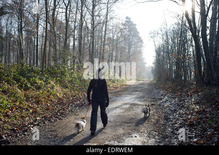 Donna che cammina i suoi cani lungo una strada di campagna Foto Stock