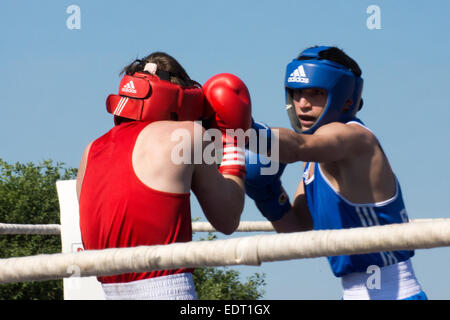 Tedesco-russo junior boxe dilettante al Festival tedesco-russo, Karlhorst Trabrennbahn, Berlino, Germania Foto Stock