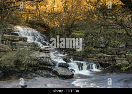 Il Lower East Gill vigore a cascata Keld in una fredda giornata di gennaio. Foto Stock