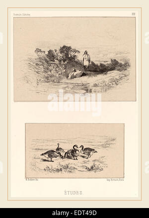 Karl Bodmer, Etudes, Swiss, 1809-1893, litografia Foto Stock