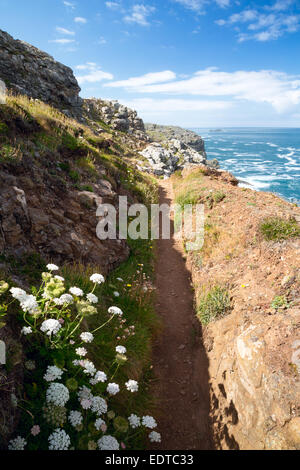 Parte della costa del sud-ovest percorso tra le Levant e Bottallack Cornwall Regno Unito Foto Stock